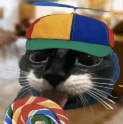 Showdown lucky cat